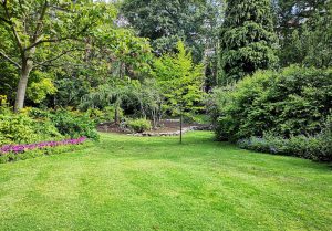 Optimiser l'expérience du jardin à Bouhans-les-Lure